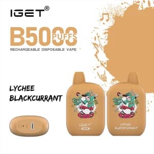 iget b5000 lychee blackcurrant 300x300 1.webp