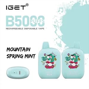 mountain spring mint iget b5000 300x300 1.webp
