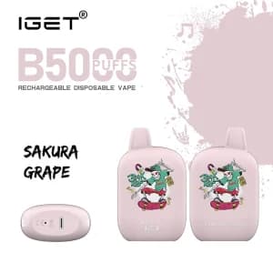 iget b5000 sakura grape 300x300 1.webp