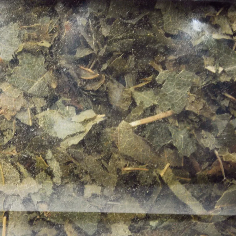 Horny Goat Weed 25g