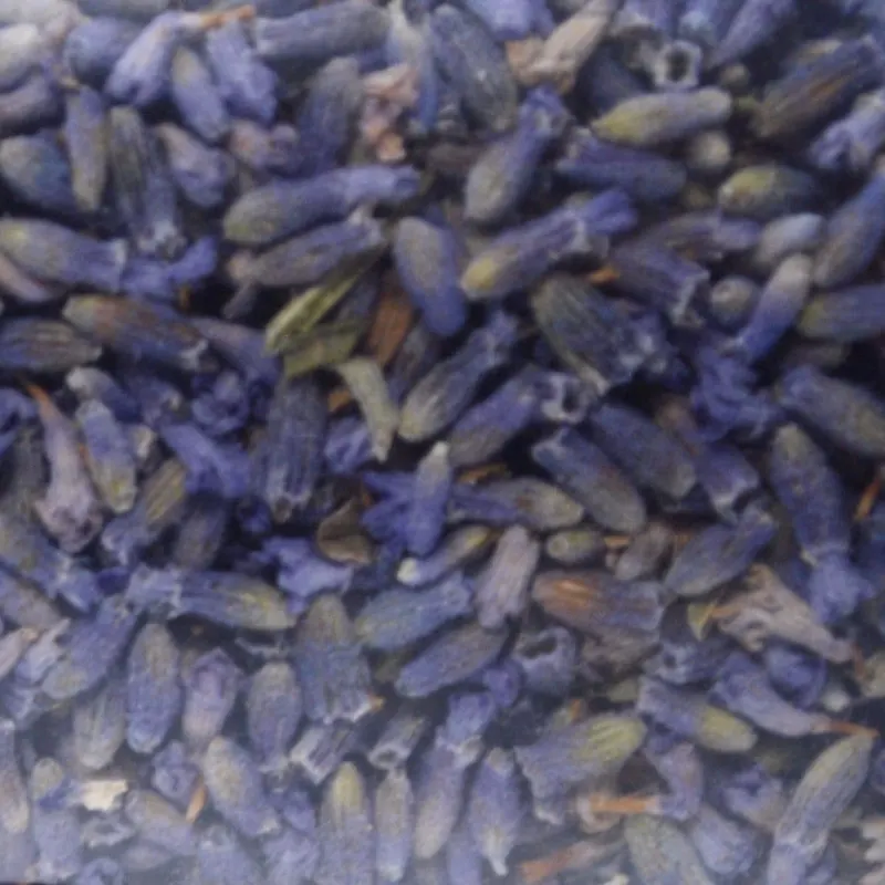 Lavender Flower Organic 25g