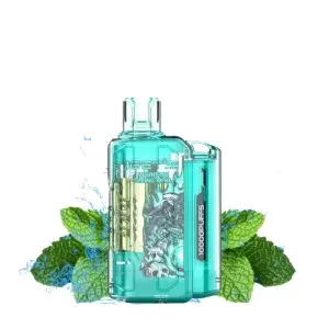 mountain spring mint iget flare b10000 puffs 300x300 1.webp