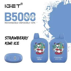 iget b5000 strawberry kiwi ice 300x300 1.webp